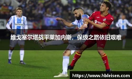 mk体育官网入口