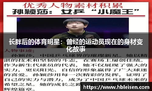 mk体育官网入口